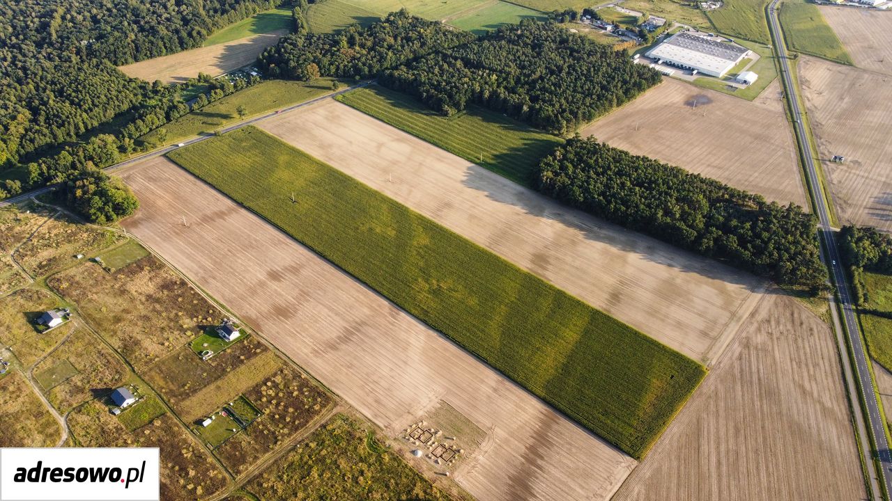 Działka budowlana Zbrudzewo. Zdjęcie 4