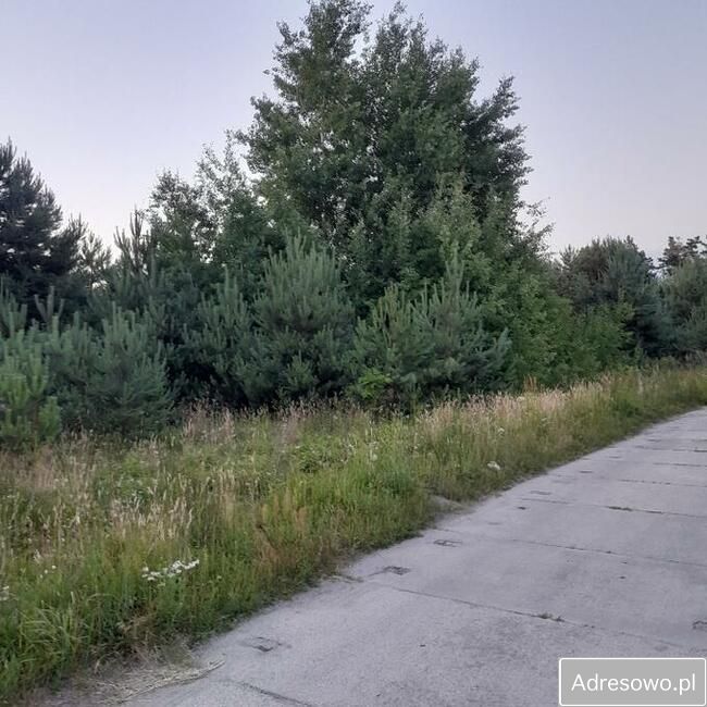 Działka rolna Wólka Domaniowska. Zdjęcie 2