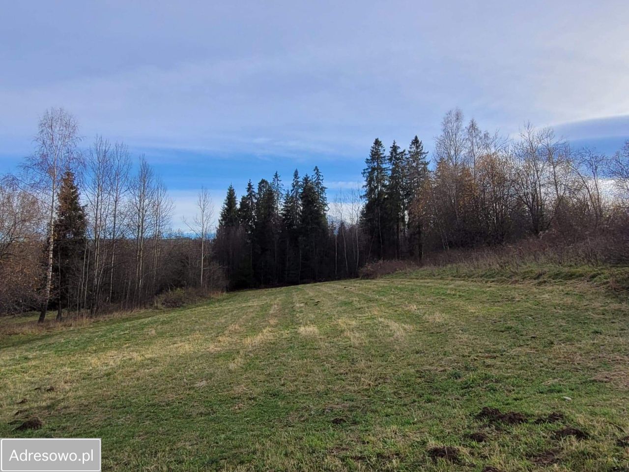 Działka rolno-budowlana Brzegi Rynias, ul. Rynias