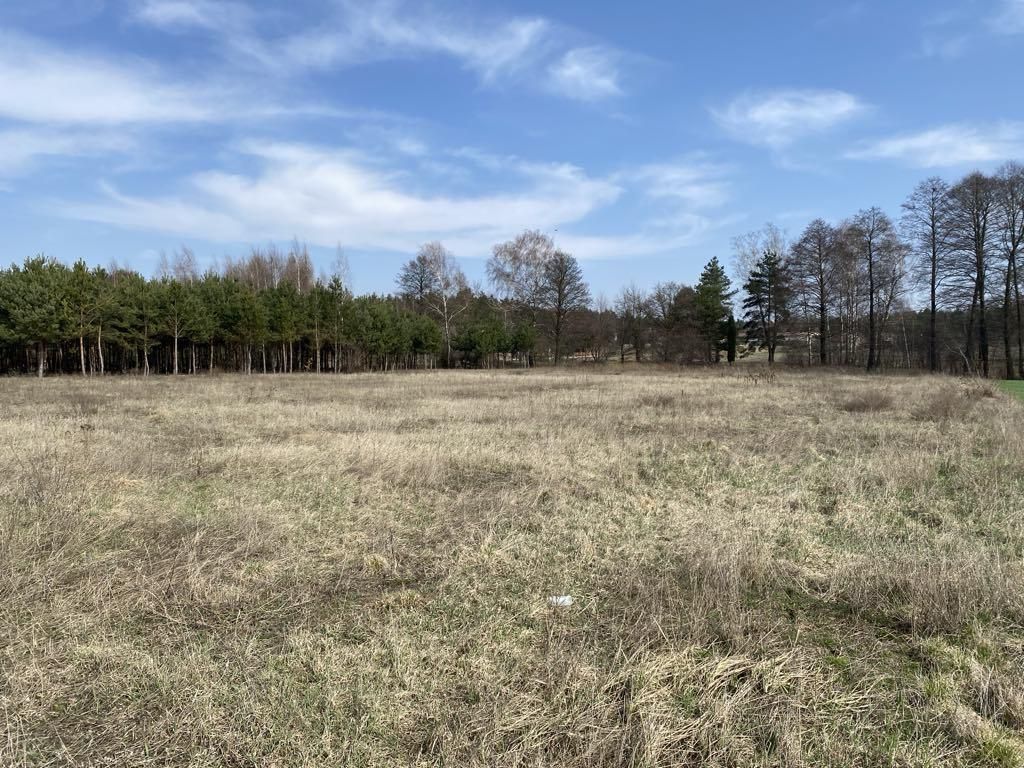 Działka budowlana Ujazd, ul. Antolin. Zdjęcie 3