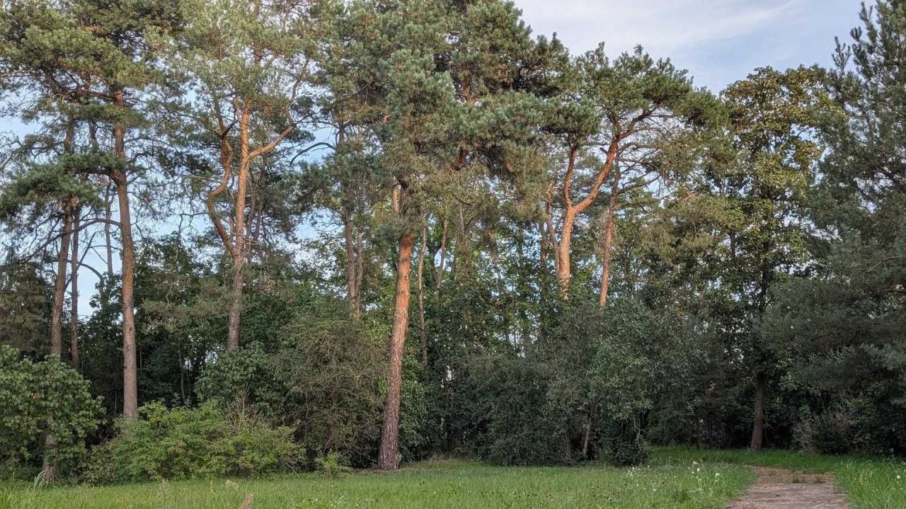 dom wolnostojący, 4 pokoje Węgrów, ul. Gdańska. Zdjęcie 2