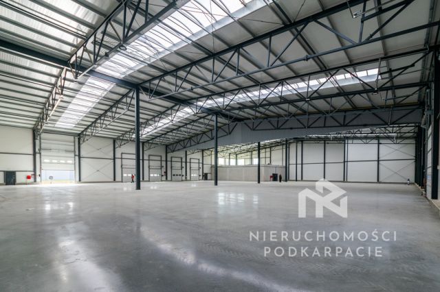 Hala/magazyn Rzeszów. Zdjęcie 2