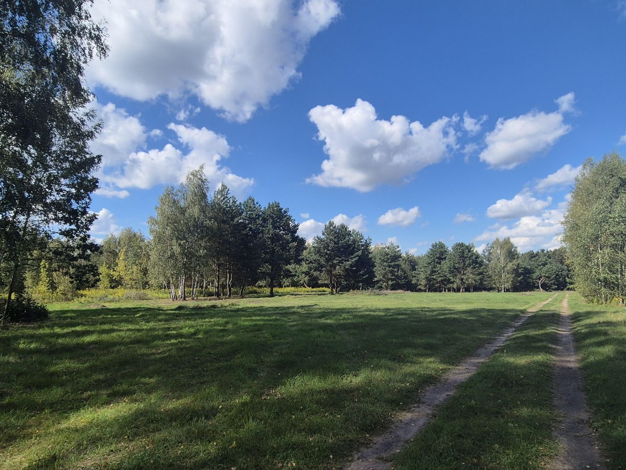 Działka rolno-budowlana Nowa Dąbrówka. Zdjęcie 2