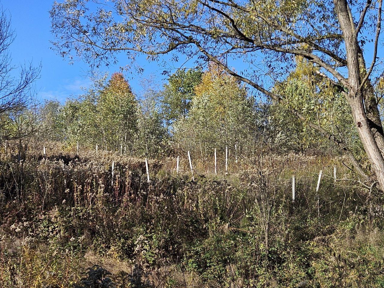 Działka rolno-budowlana Brzezna Jedlane. Zdjęcie 4