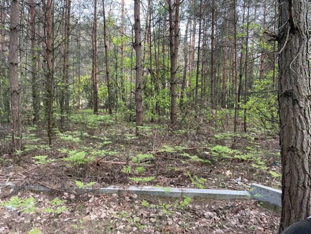 Działka budowlana Anielin Kępa. Zdjęcie 1