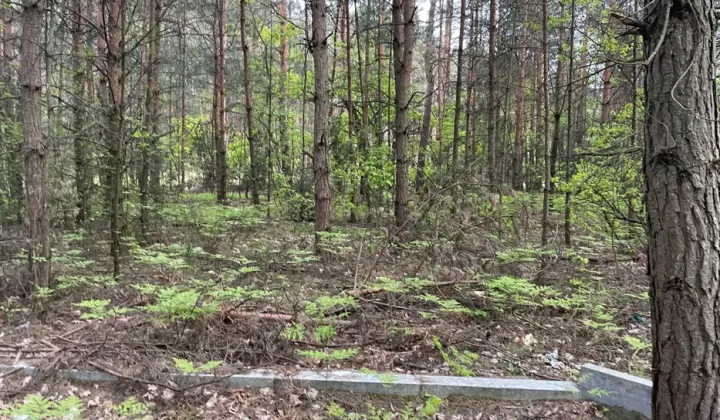 Działka budowlana Anielin Kępa