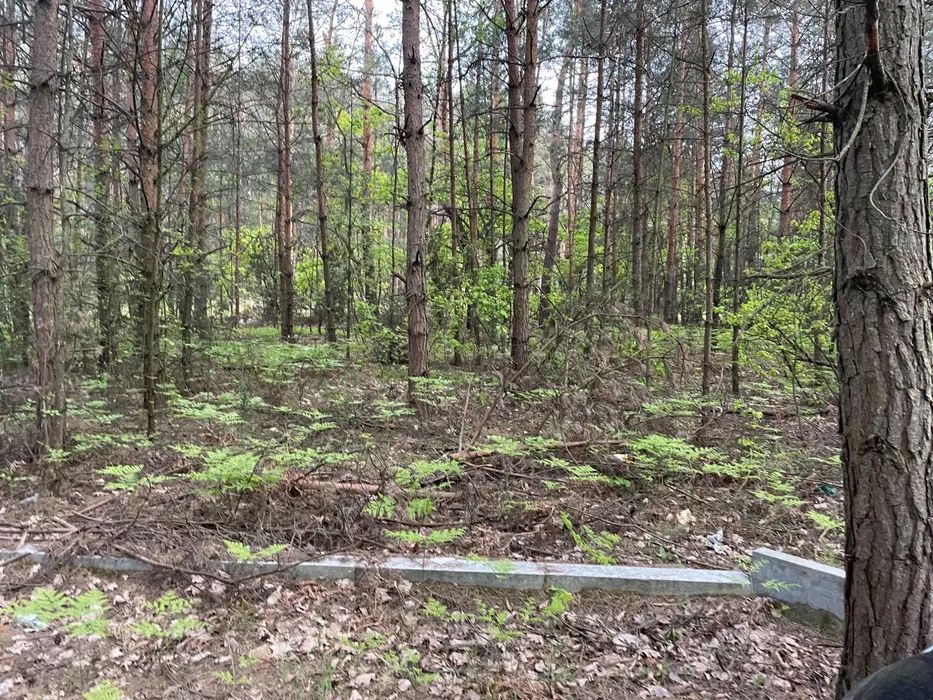 Działka budowlana Anielin Kępa