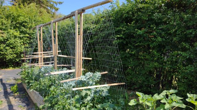 dom wolnostojący, 9 pokoi Sobącz. Zdjęcie 59