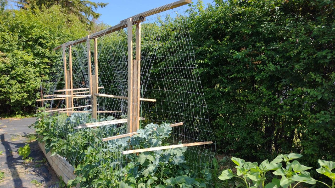 dom wolnostojący Sobącz. Zdjęcie 49