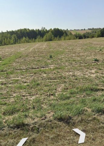 Działka rolno-budowlana Pokrzywnica. Zdjęcie 1