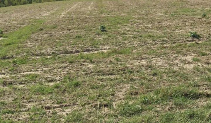 Działka rolno-budowlana Pokrzywnica