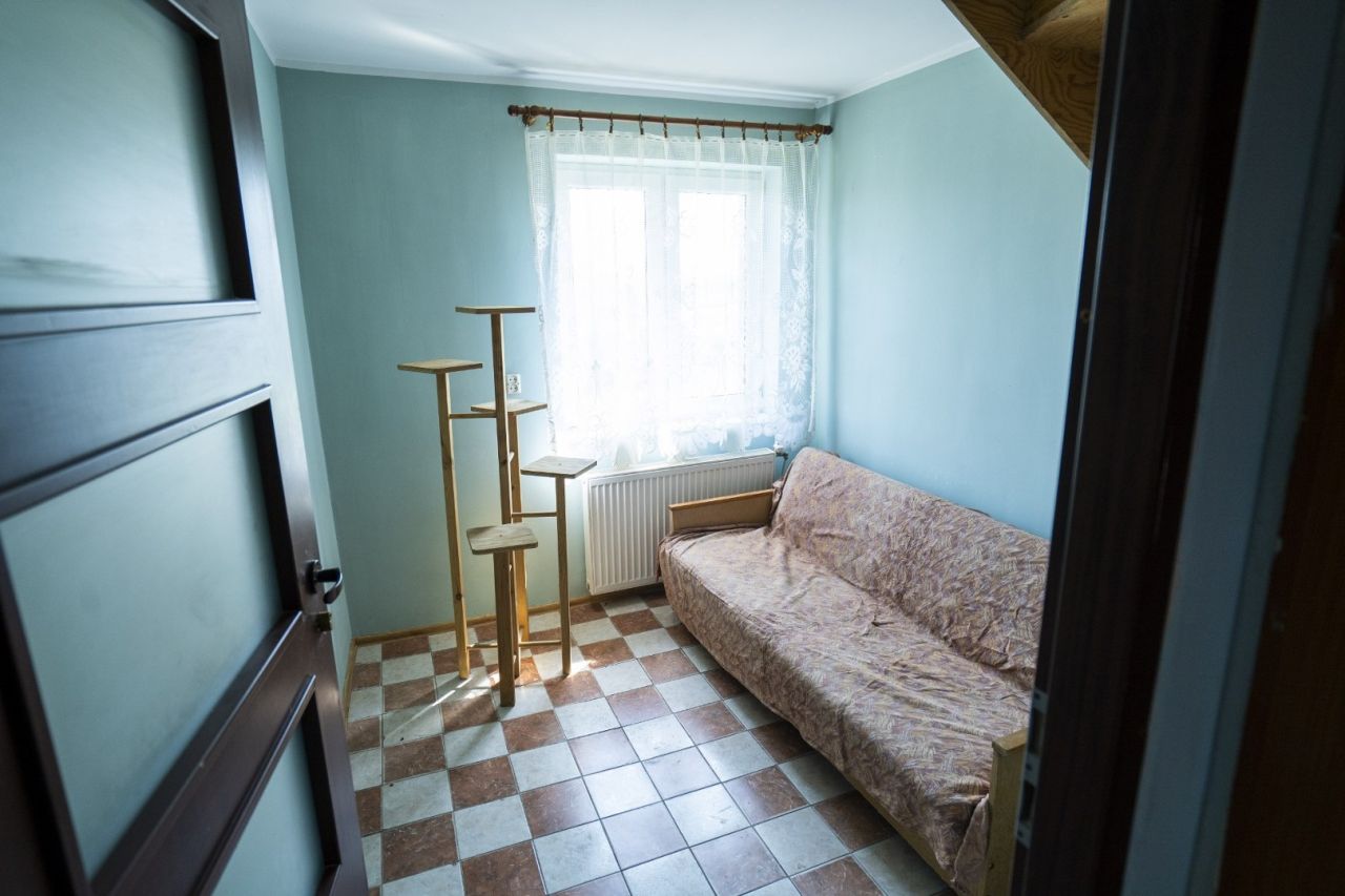 gospodarstwo, 5 pokoi Trzcinisko. Zdjęcie 16