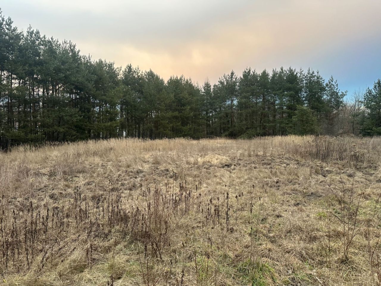 Działka budowlana Warszawa Praga-Południe, ul. Cylichowska. Zdjęcie 2