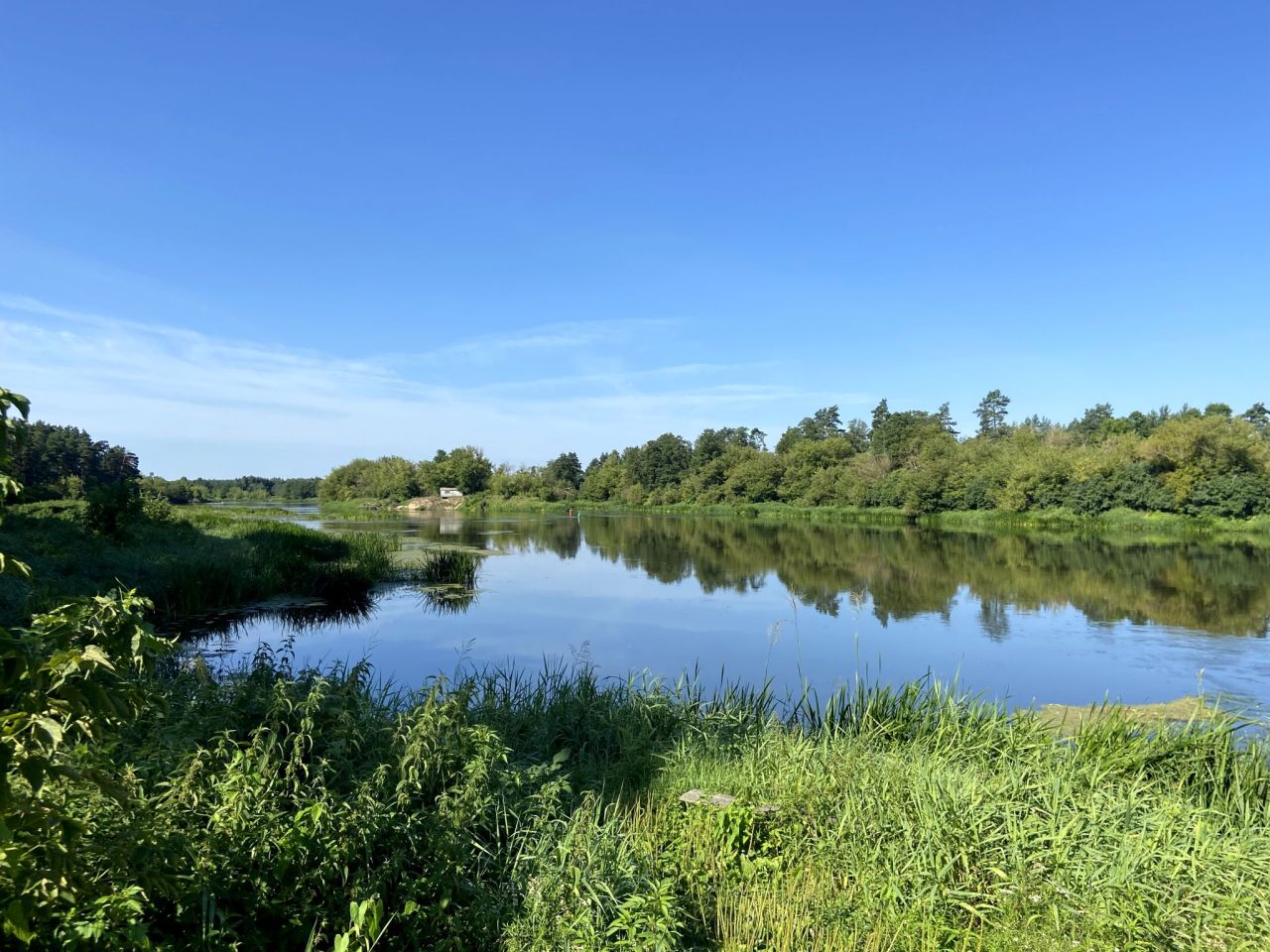 Działka leśna Kamianka. Zdjęcie 5