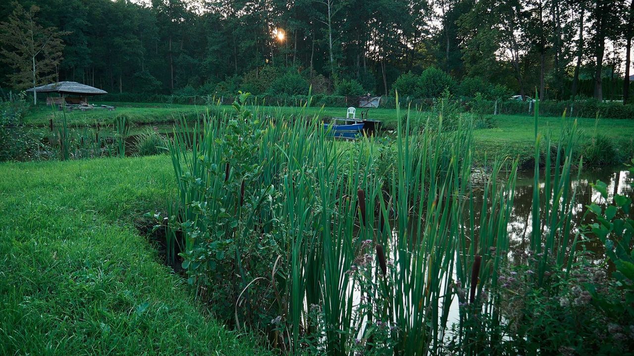 Działka inwestycyjna Grążawy. Zdjęcie 3