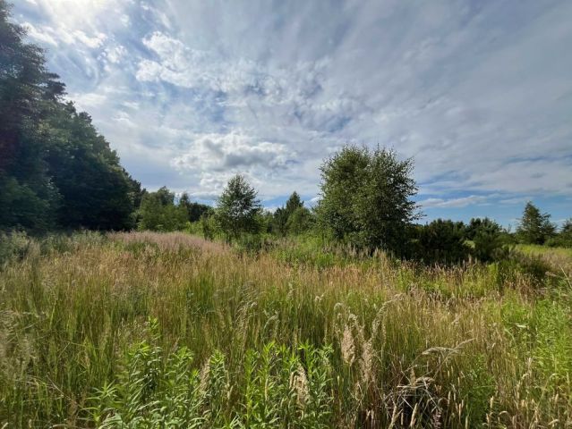 Działka rolno-budowlana Santocko, ul. Leśna. Zdjęcie 1