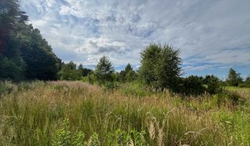 Działka rolno-budowlana Santocko, ul. Leśna