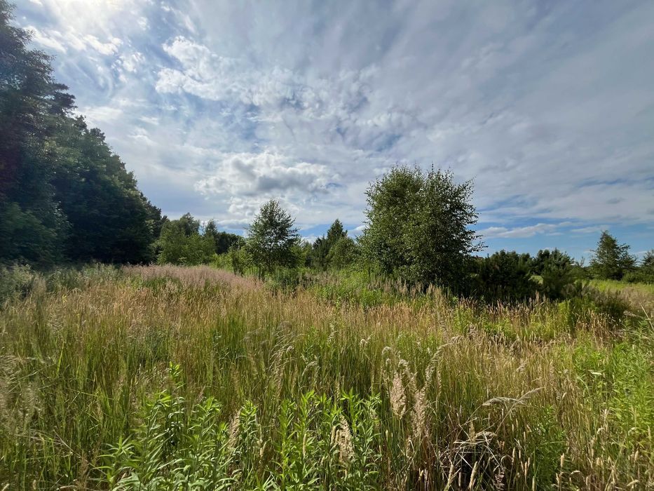 Działka rolno-budowlana Santocko, ul. Leśna