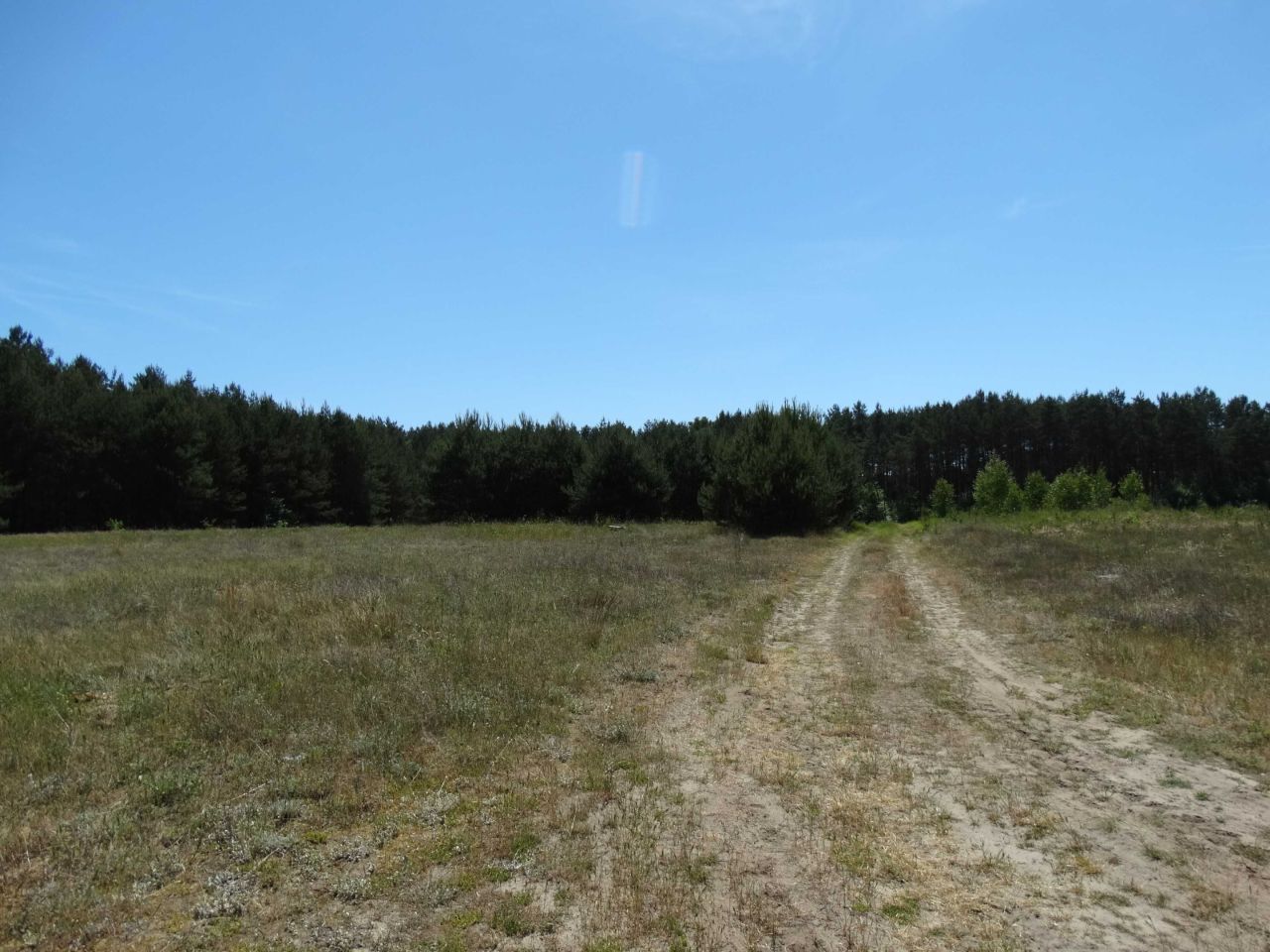 Działka siedliskowa Bąblinek. Zdjęcie 2