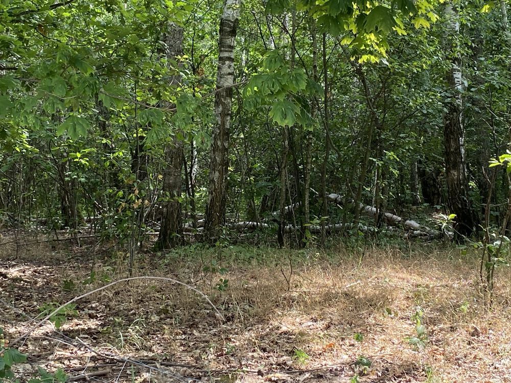 Działka budowlana Majdan Sieniawski. Zdjęcie 6