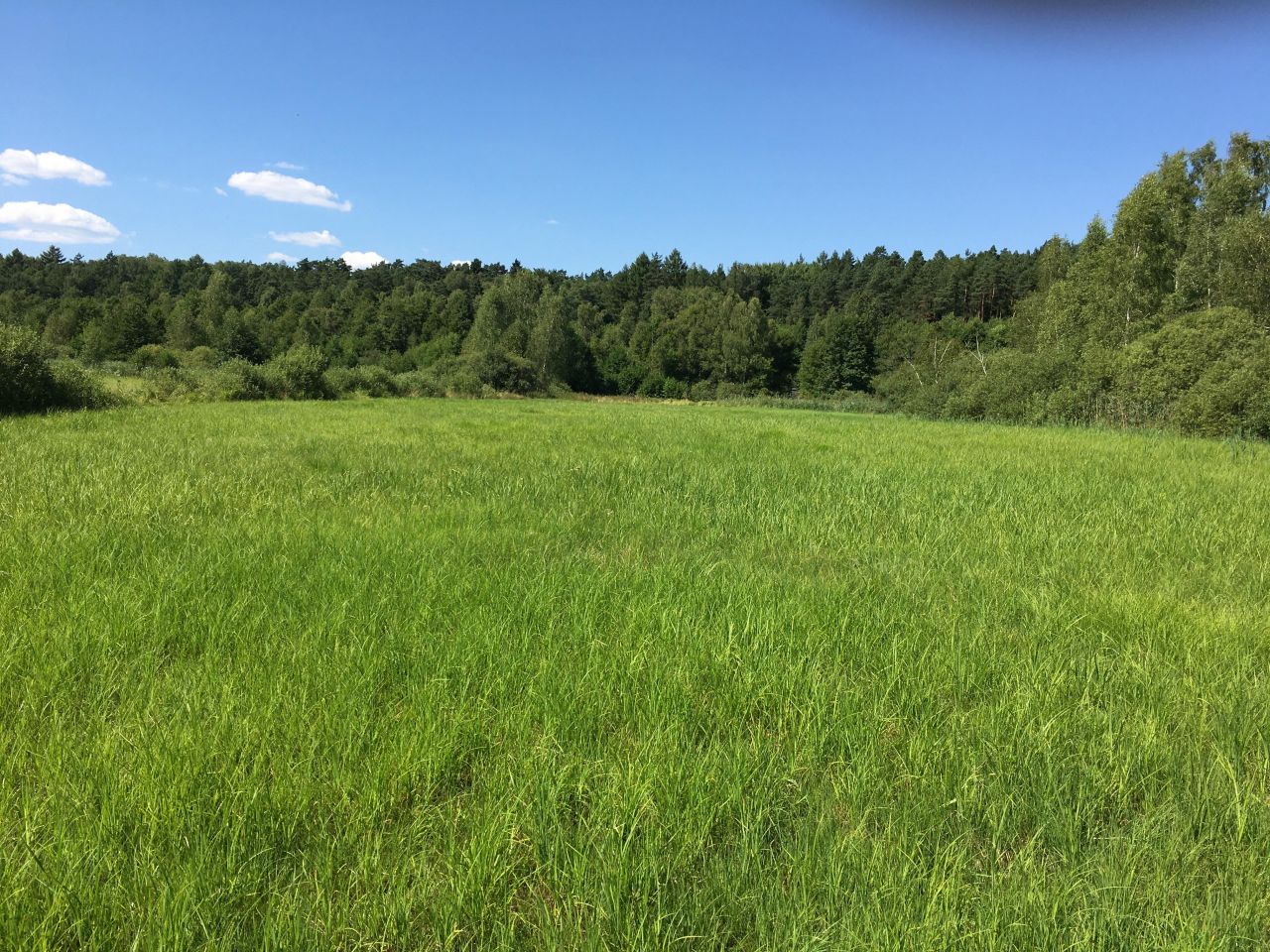 Działka rolna Górne Maliki. Zdjęcie 2