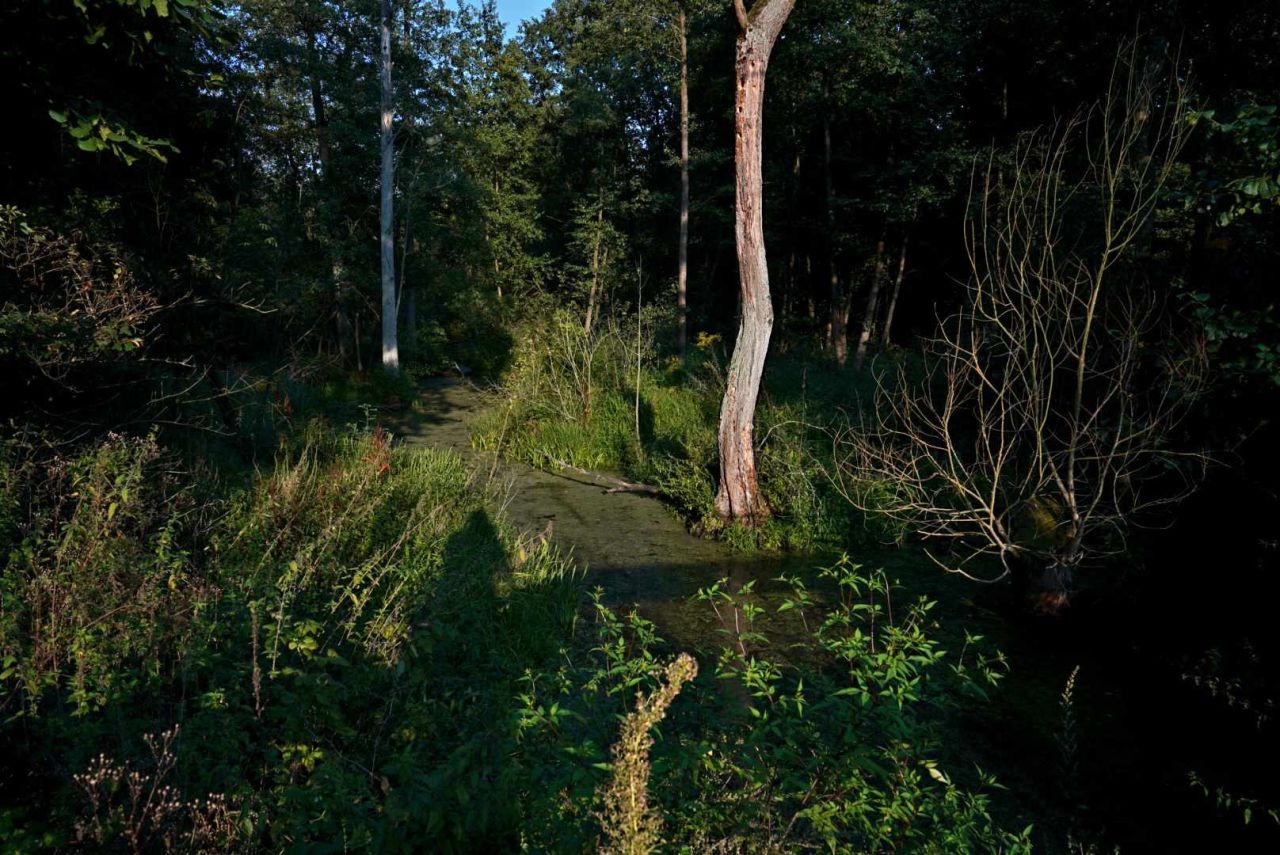 Działka budowlana Cychry. Zdjęcie 19