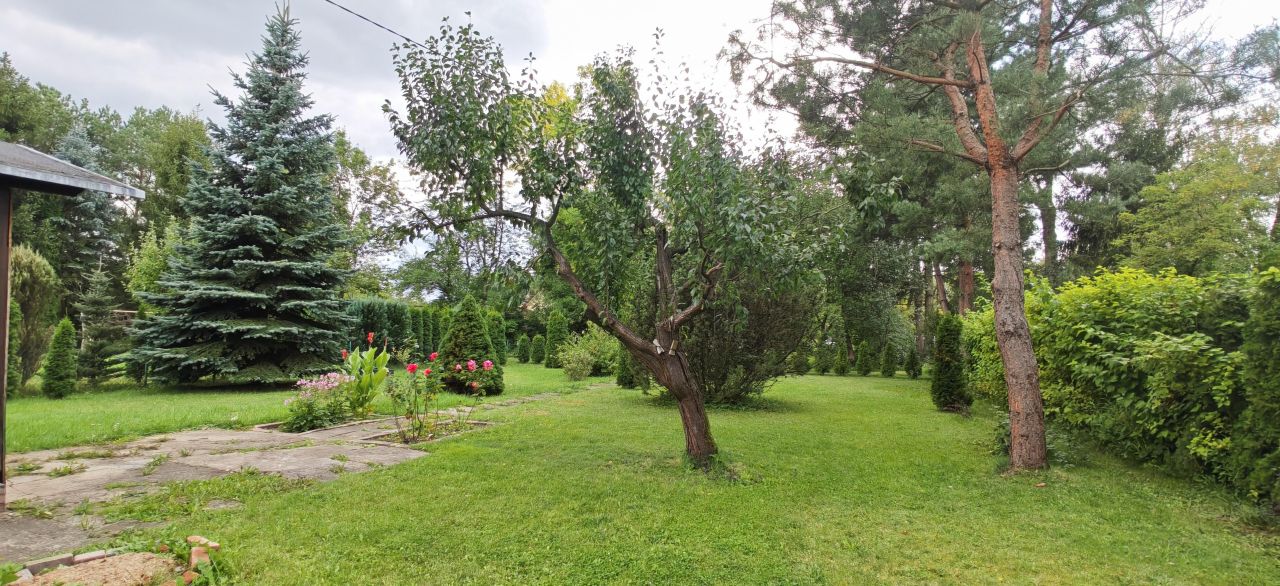 Działka rod Łódź Chojny, ul. Pryncypalna. Zdjęcie 9