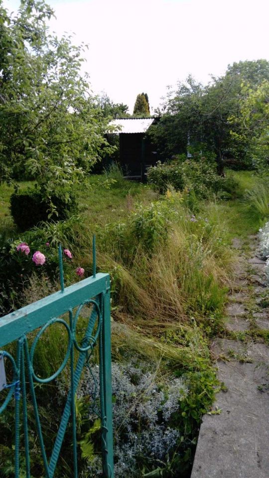 Działka rekreacyjna Olsztyn, ul. Na Skarpie