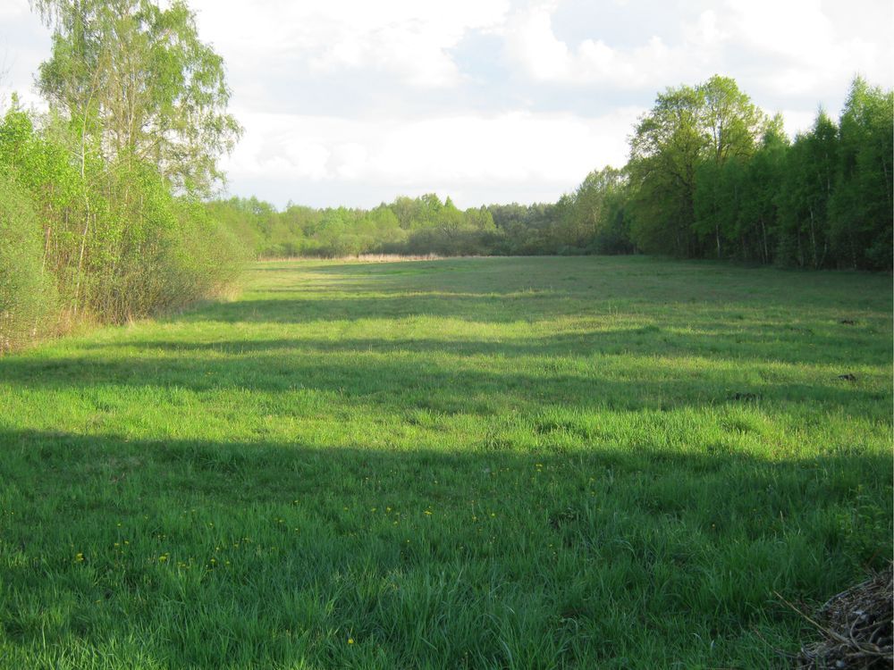 Działka rolno-budowlana Kawęczyn