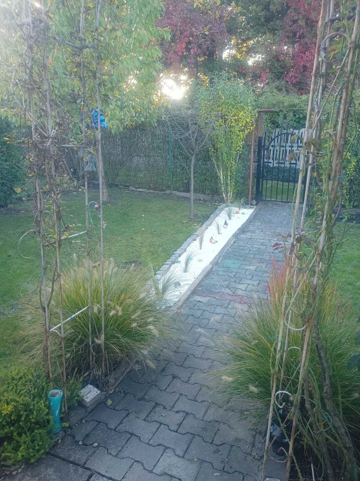 Działka rod Katowice Załęska Hałda. Zdjęcie 4