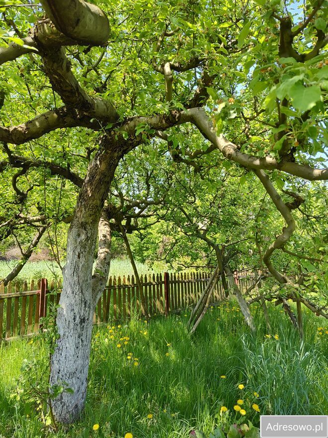 Działka rekreacyjna Kielce