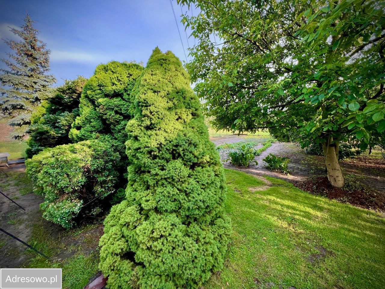 dom wolnostojący, 2 pokoje Wróble-Wargocin. Zdjęcie 8