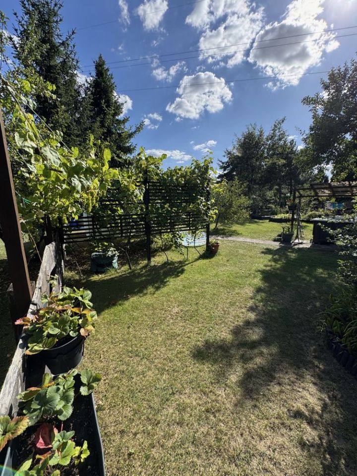 Działka rod Częstochowa Mirów, ul. Mirowska. Zdjęcie 3