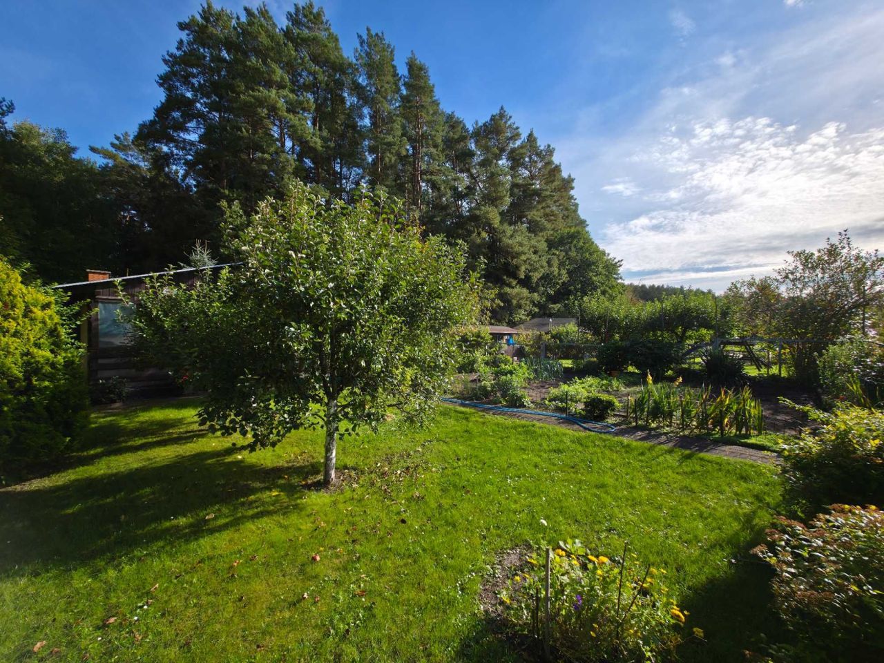 Działka rod Olsztyn. Zdjęcie 3