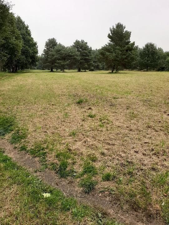 Działka budowlana Siechnice. Zdjęcie 5