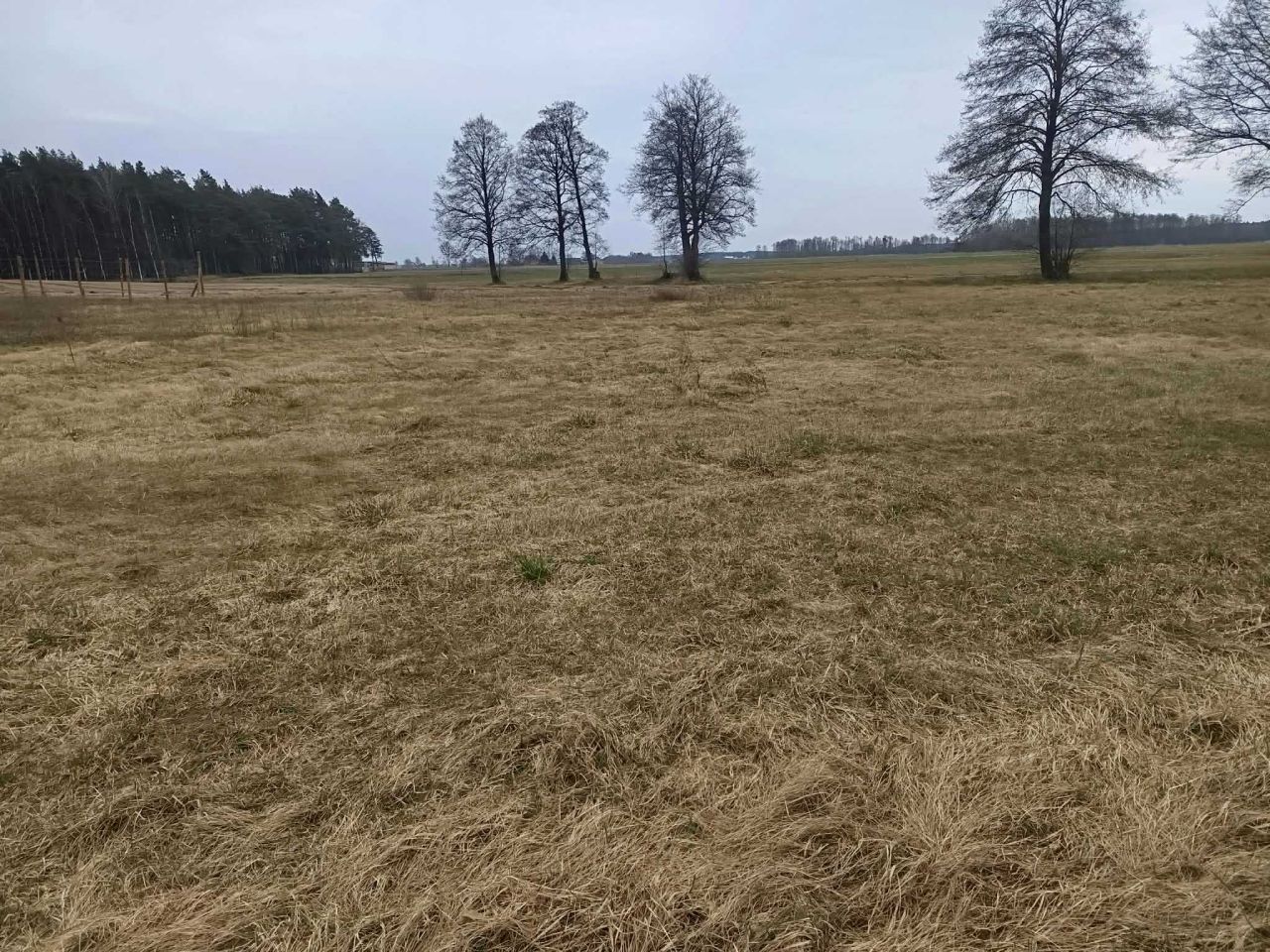 Działka budowlana Toczyłowo. Zdjęcie 1