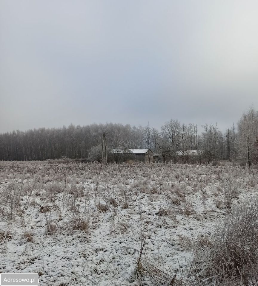 Działka rolna Żuków. Zdjęcie 7