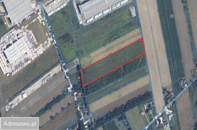 Działka inwestycyjna Dobra. Zdjęcie 1