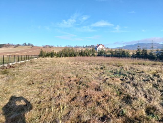 Działka rolno-budowlana Borówno. Zdjęcie 1