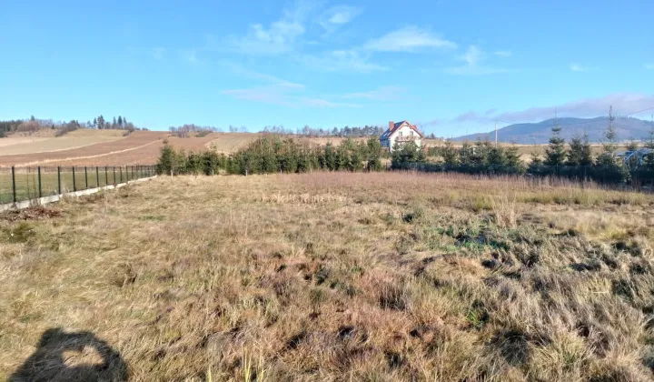 Działka rolno-budowlana Borówno