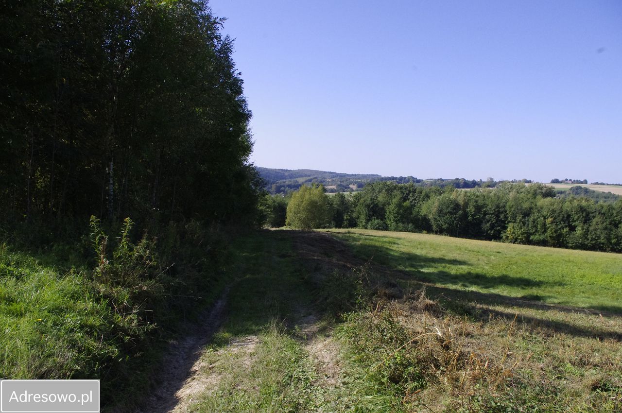 Działka budowlana Wiśniowa. Zdjęcie 7