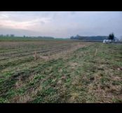 Działka rolno-budowlana Zarębin. Zdjęcie 1