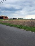 Działka budowlana Kraszewice, ul. Leśna. Zdjęcie 1