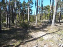 Działka budowlana Dziwnów, ul. Daglezji. Zdjęcie 4