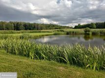 Działka rekreacyjna Ruta Gradowo. Zdjęcie 3