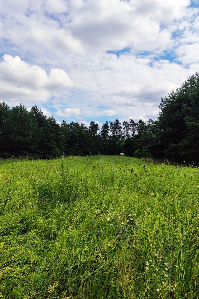 Działka rolno-budowlana Sulejów Dobra Woda, ul. Góra Strzelecka. Zdjęcie 5