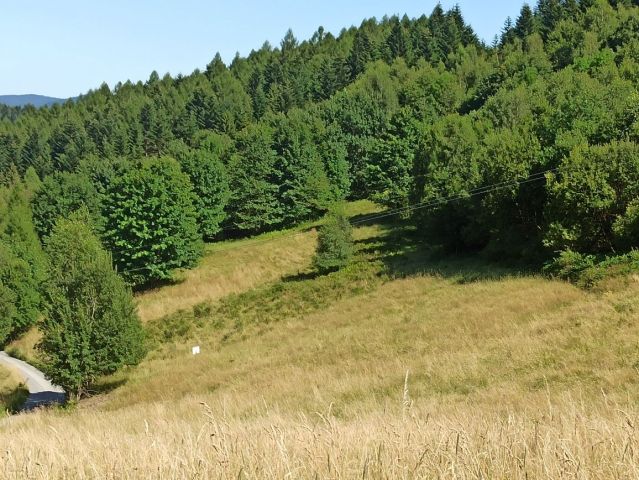 Działka rekreacyjna Zawoja. Zdjęcie 1