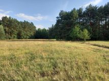 Działka leśna Sudzin. Zdjęcie 1