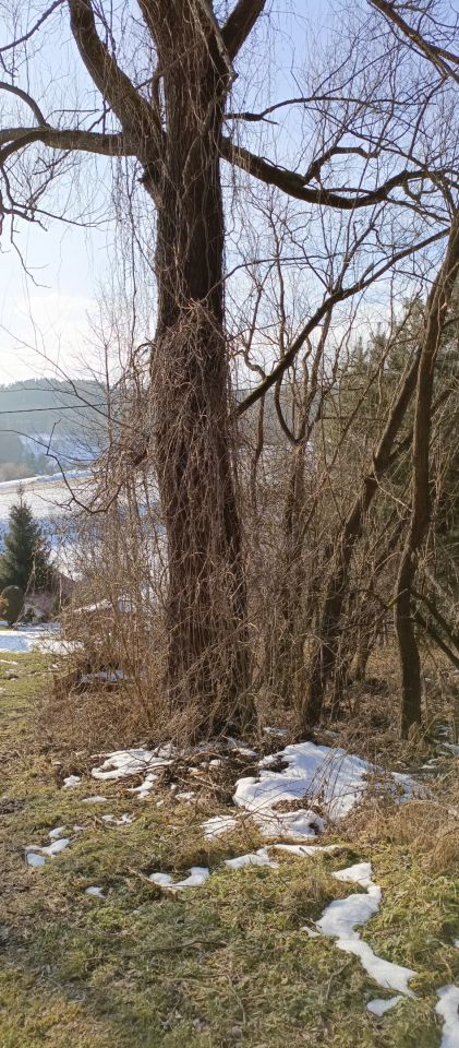 dom wolnostojący, 3 pokoje Tułkowice Środek. Zdjęcie 6