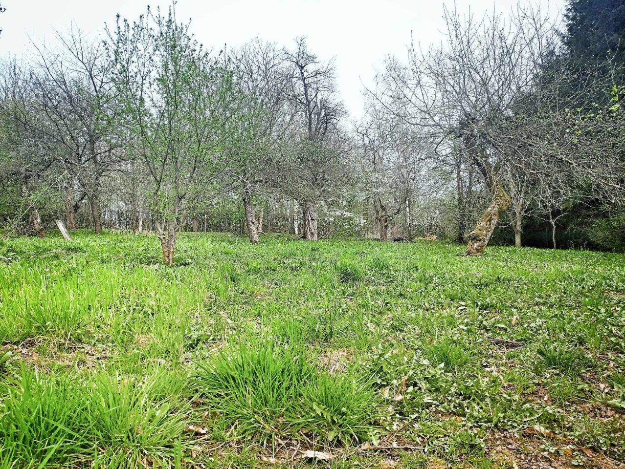 Działka budowlana Łańcut Przedmieście Górne, ul. Józefa Piłsudskiego. Zdjęcie 5